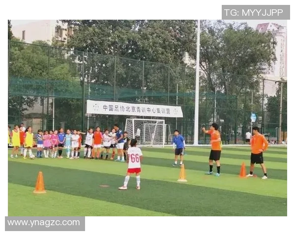 以青少年培训为核心推动足球产业发展与人才培养模式创新探索