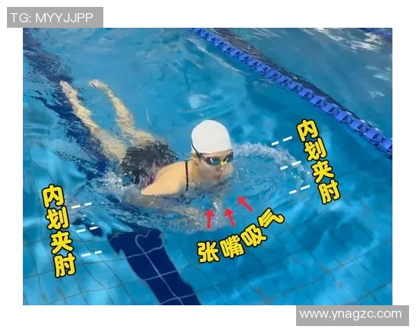 蛙泳技巧解析：如何提高速度与耐力，掌握呼吸与动作协调的关键步骤