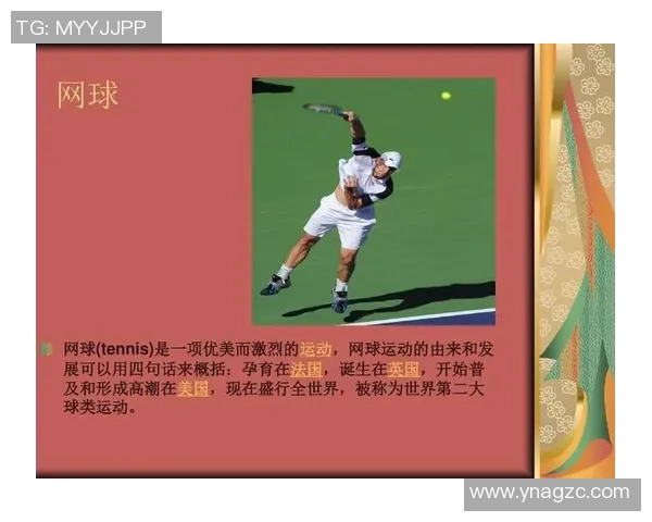 球类运动的魅力与发展：探索不同球类的历史、技巧与未来趋势