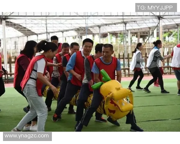 竞技运动组：探索创新训练方式与团队协作提升竞技水平的全新路径