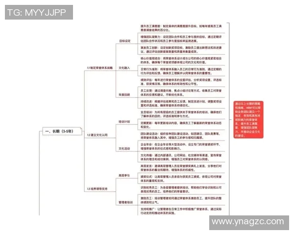 全面解析网站建设流程与关键技巧助力企业打造高效精准网络平台