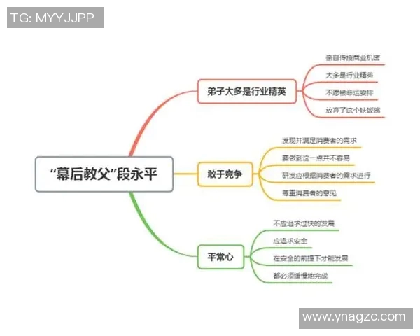 打造冠军之路：从球队建设到战术革新，全面解析成功背后的秘密