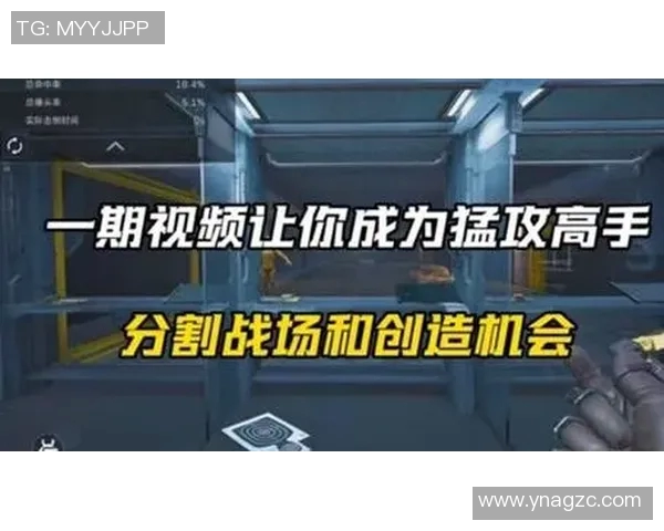 赵芳独家分享和平精英游戏心得与技巧助你成为战场高手