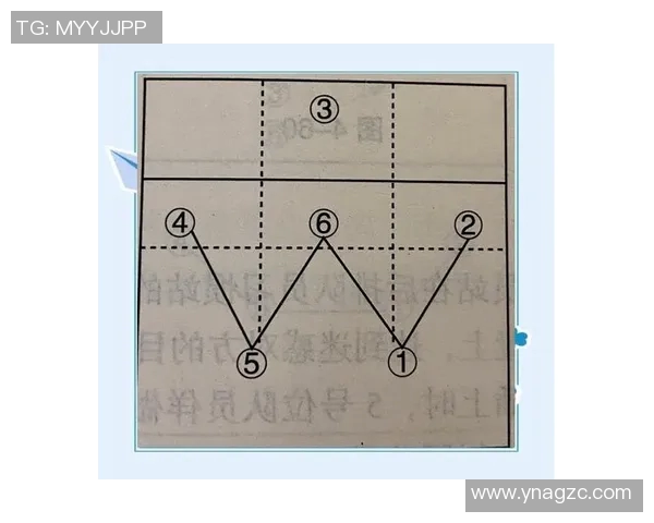 重庆排球队中路突破战术深度分析与实战应用探讨 重庆排球队中路突破战术深度分析与实战应用探讨