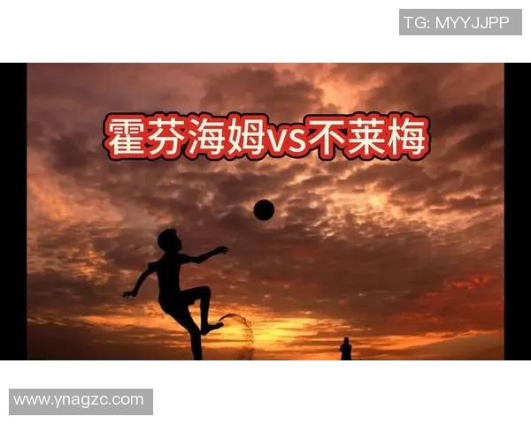 霍芬海姆主场迎战不莱梅双方争夺关键积分的精彩对决 霍芬海姆主场迎战不莱梅双方争夺关键积分的精彩对决