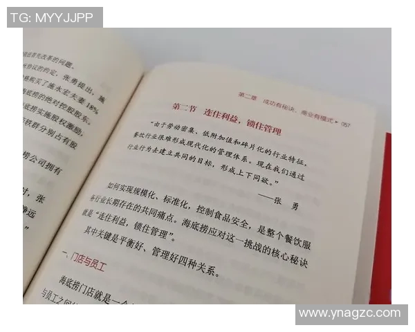 南京篮球队的奋斗与荣耀：挑战赛背后的故事与突破历程